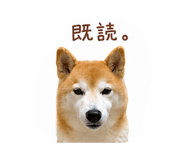 844326642