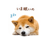 844326643