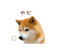 844326645
