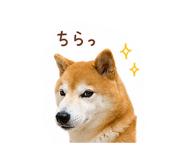 844326646