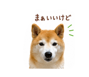 844326648