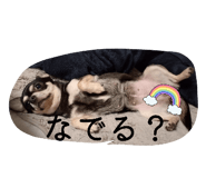 844327013