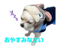 844327049