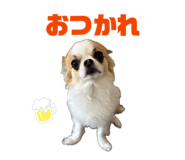 844327054
