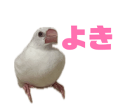844327061