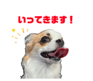 844327064