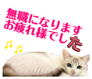 844327385