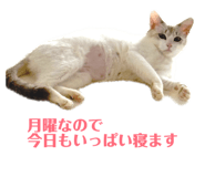844327386