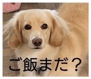 844327409