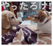 844327413
