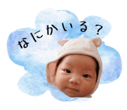 844327428