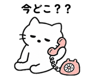844327537