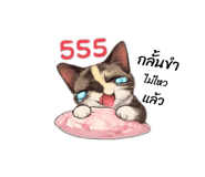 844327690