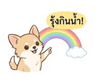 844327722