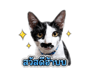 844327945