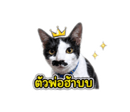 844327951