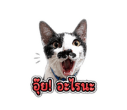 844327961