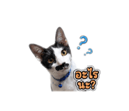 844327966