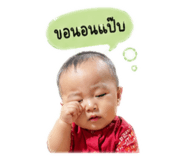 844328081