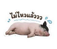 844328372