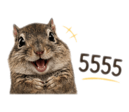 844328638