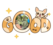 844329017