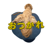 844329322