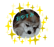 844329376