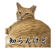 844329420