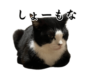 844329423