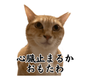 844329432