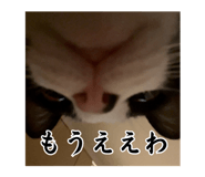 844329441