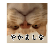 844329442