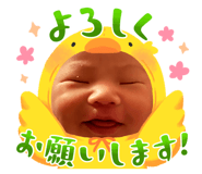844330006