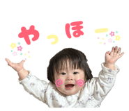 844330081