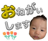 844330154