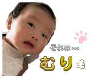 844330166