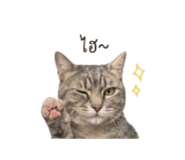 844330479