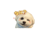 844331056