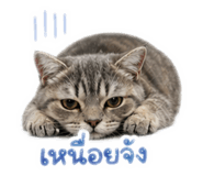 844331378