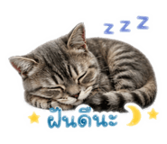 844331380