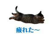 844331510