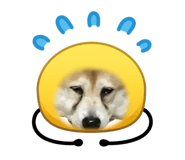 844331570
