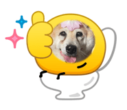 844331572