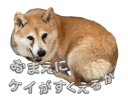 844331579