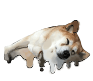 844331581
