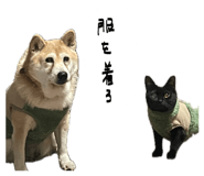 844331584