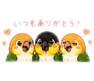 844331804