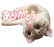 844332090