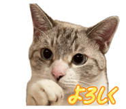 844332095